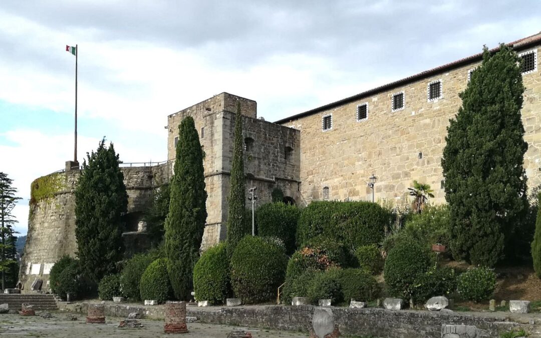 At the origins of Trieste